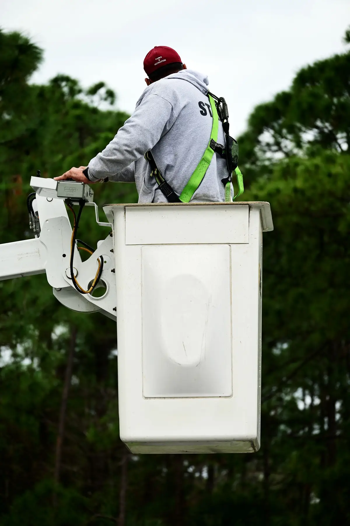 A worker in a harness standing in a bucket truck among green trees.