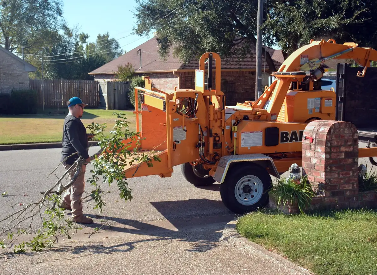 A worker feeding cut branches into an orange wood chipper parked at a curb.